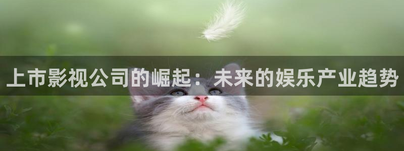 神马电影院dy888