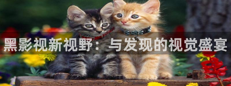 神马未来手机影院在线观看