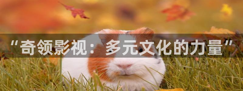 神马网新午夜影院